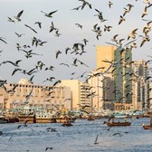 Dubai City Tour: Old Heritage and Modern City Sightseeing